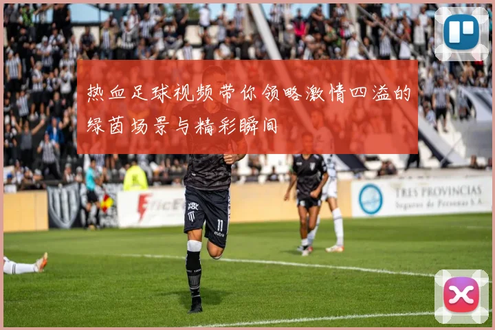 热血足球视频带你领略激情四溢的绿茵场景与精彩瞬间