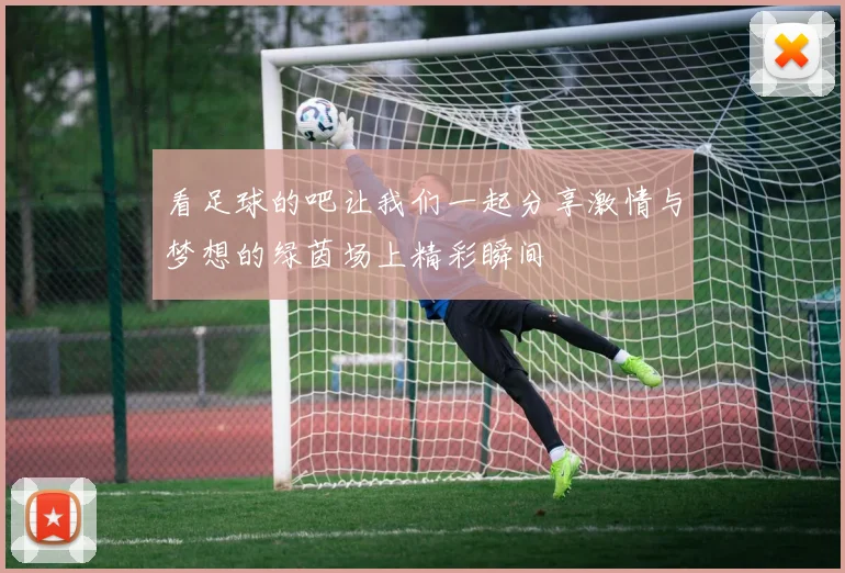 看足球的吧让我们一起分享激情与梦想的绿茵场上精彩瞬间