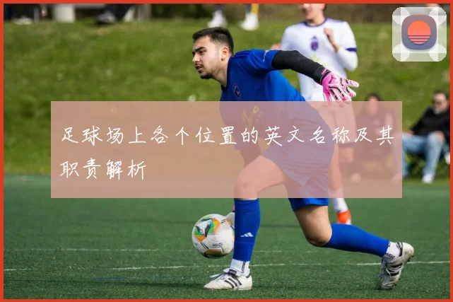 足球场上各个位置的英文名称及其职责解析